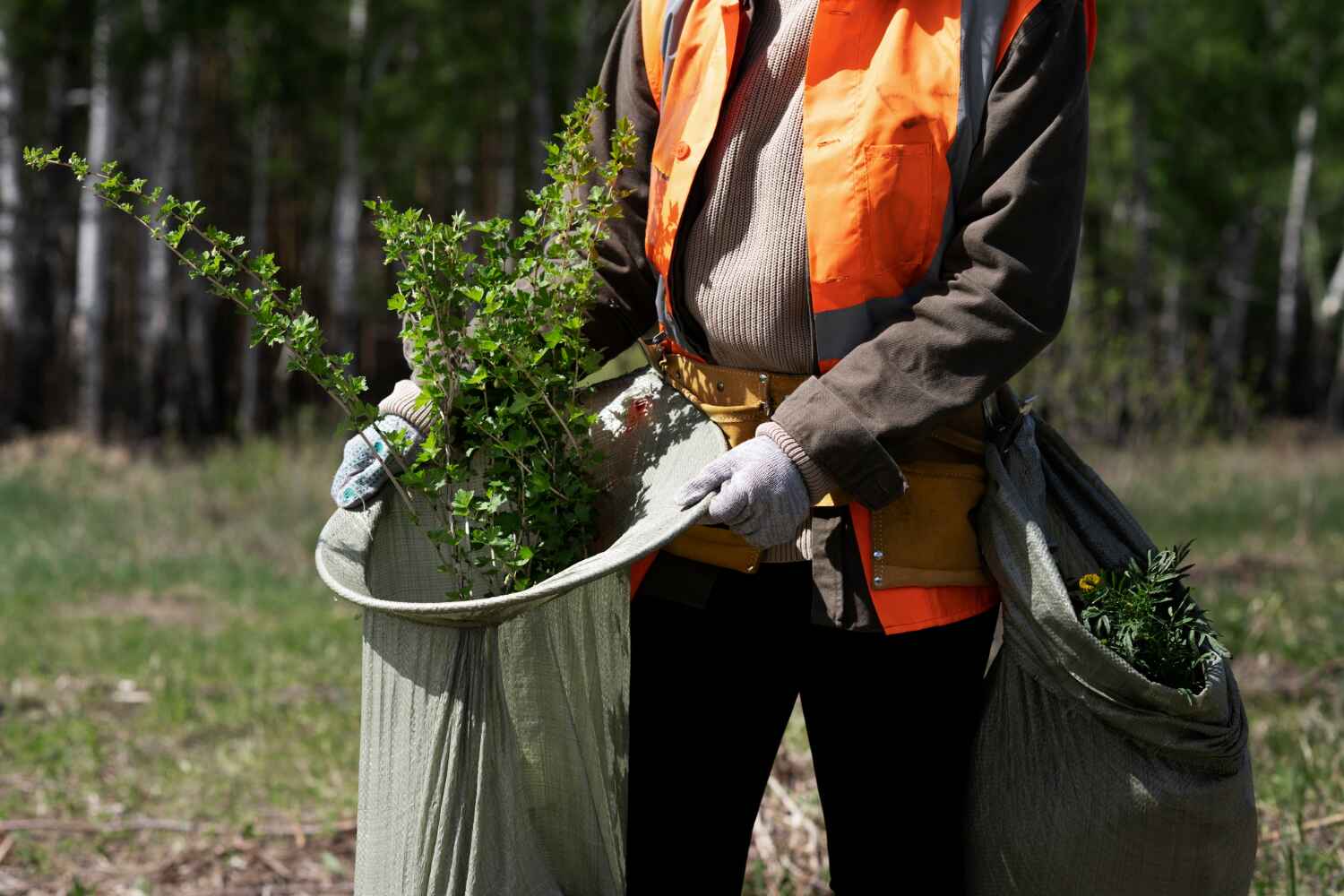 Best Commercial Tree Services  in Ahoskie, NC